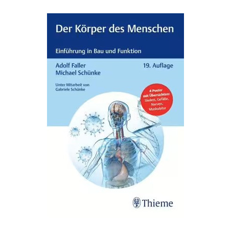 Der Körper des Menschen - Einführung in Bau und Funktion